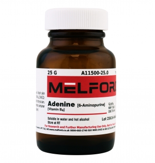 Adenine, 25 G