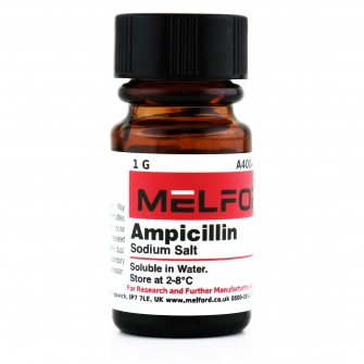 Ampicillin, Sodium Salt, 1 G