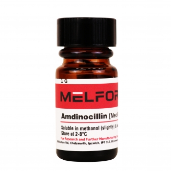 Amdinocillin, 1 G