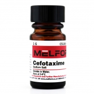 Cefotaxime Sodium Salt