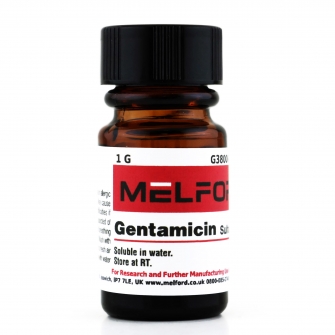 Gentamicin Sulfate, 1 G