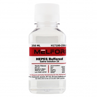 HEPES Buffered Saline Solution 2X, 250 ML