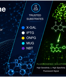 Enzyme Substrates