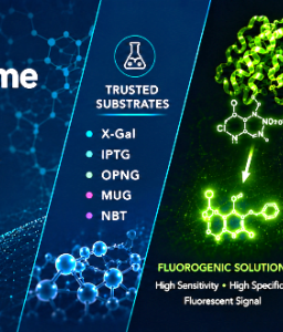 Enzyme Substrates